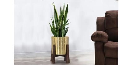 Gold Metal Planter With Wooden Stand