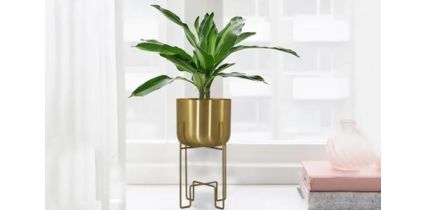 Modern Metal Planter With Stand in Gold Finish