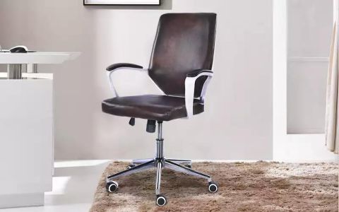 Royaloak Lacto Computer Chair in Leatherette